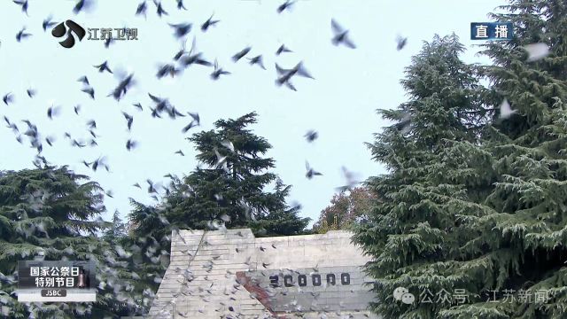 1213_164449_809.jpg