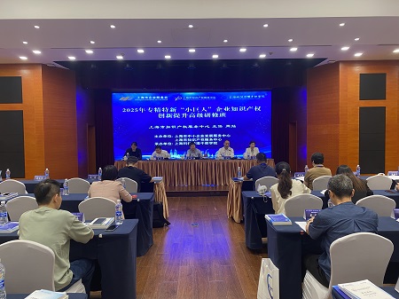 2025年专精特新小巨人企业知识产权创新提升高级研修班顺利开班