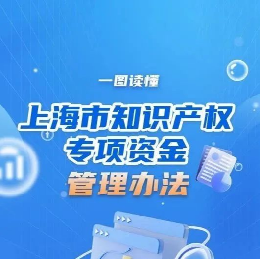 【一图读懂】上海市电子商务知识产权保护工作若干意见