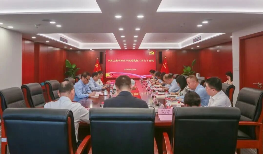 市知识产权局党组（扩大）会议召开，研究部署巩固拓展树立和践行正确政绩观学习教育成果、建立长效机制工作